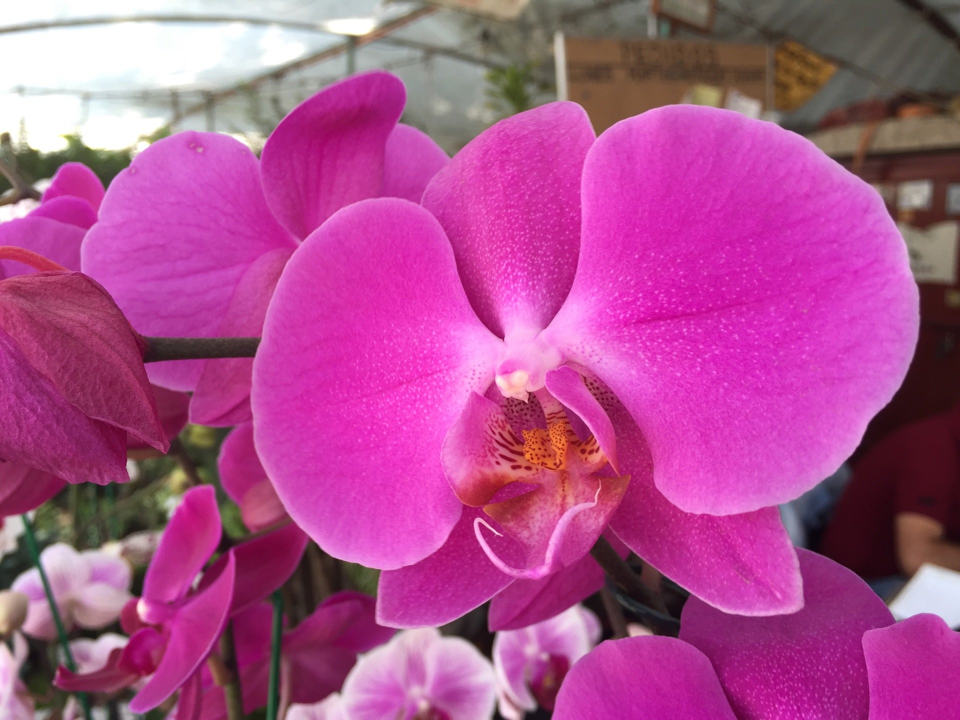 garden-center