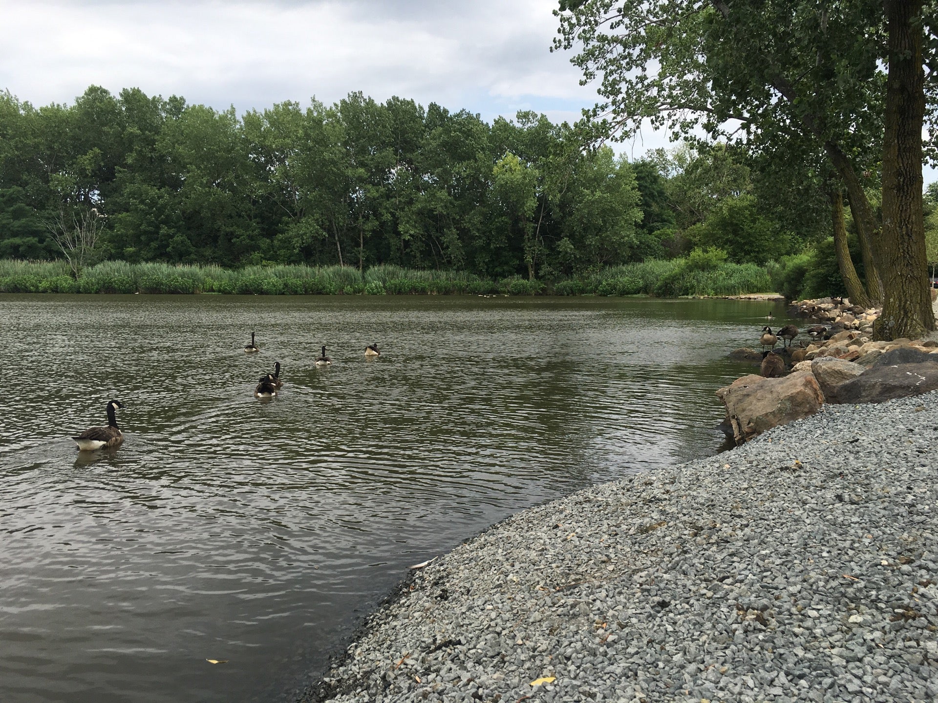 lake
