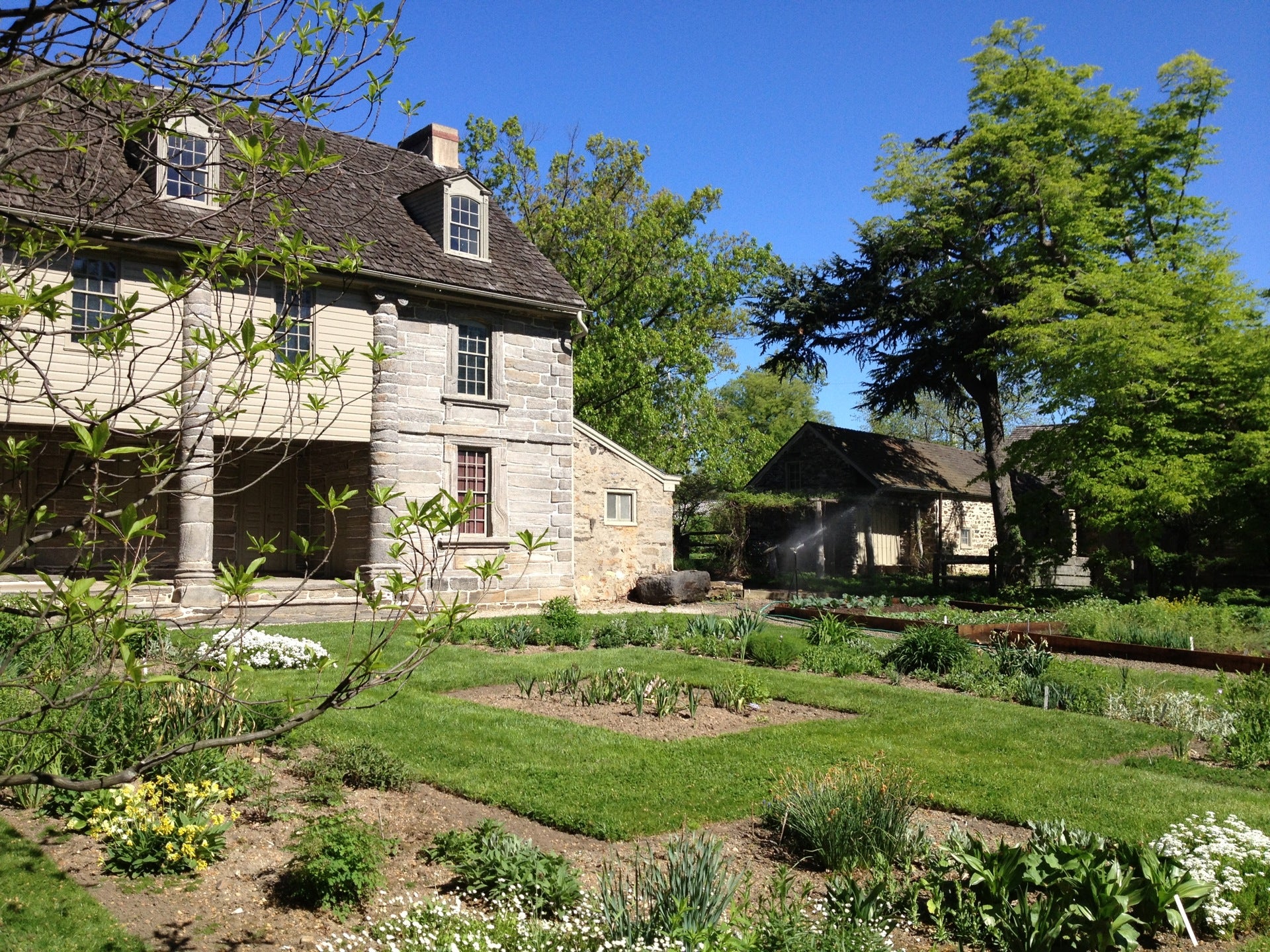 garden