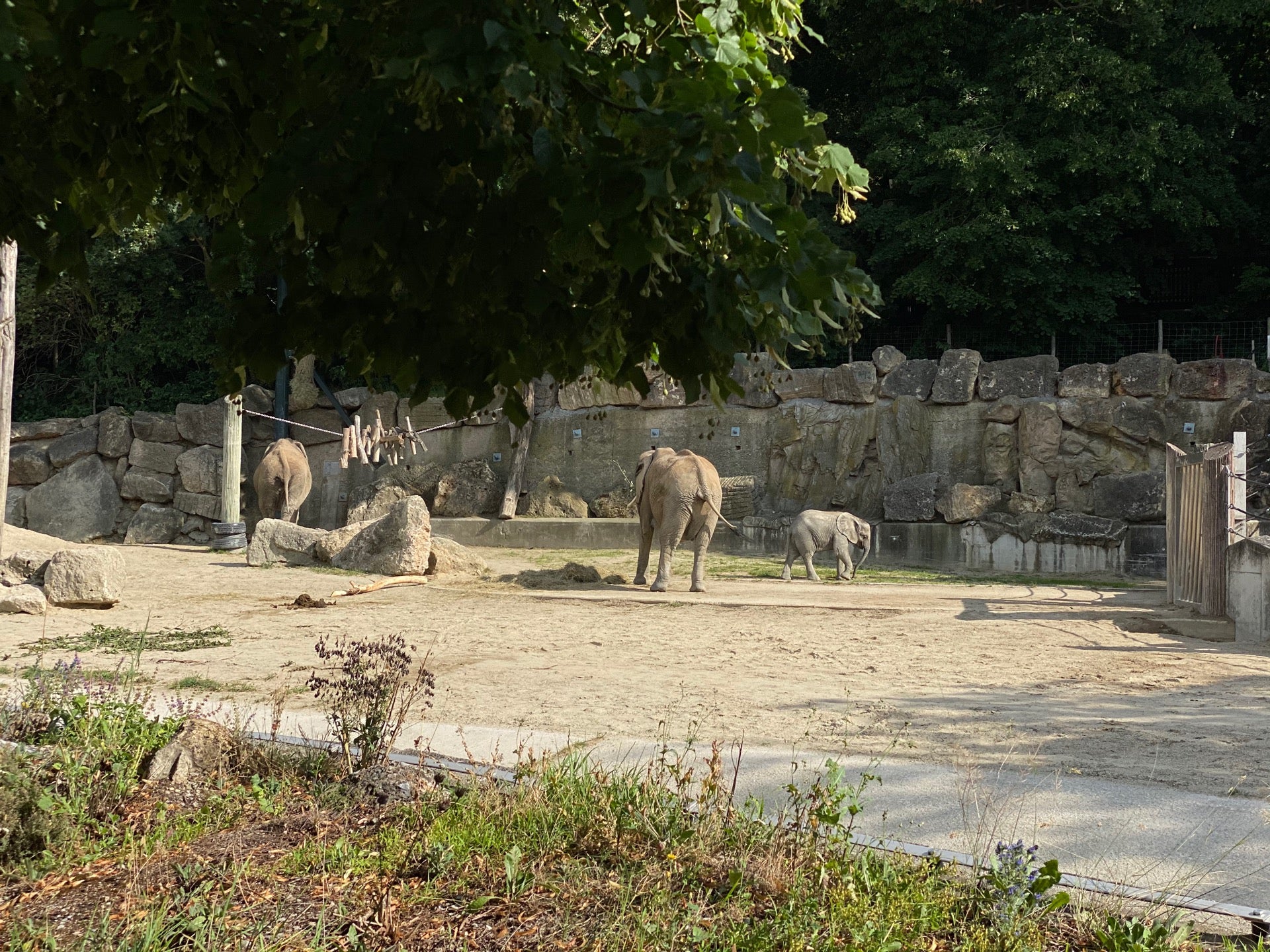 zoo-exhibit
