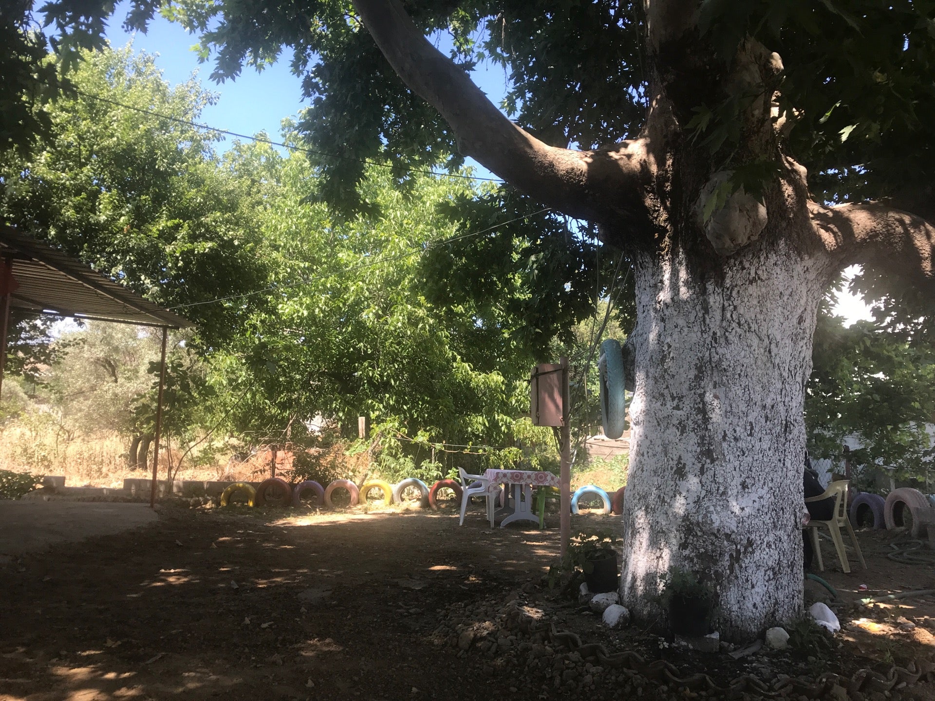 breakfast-spot