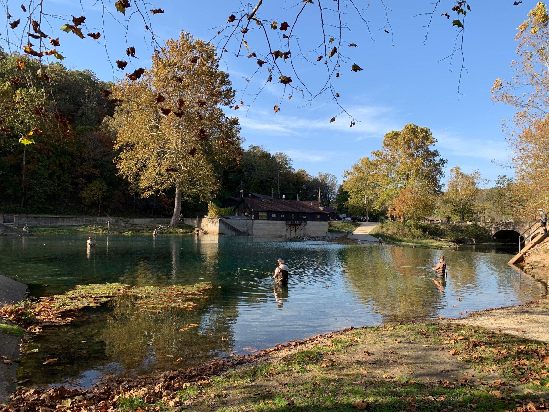 Spring State Park, Campground at Laclede