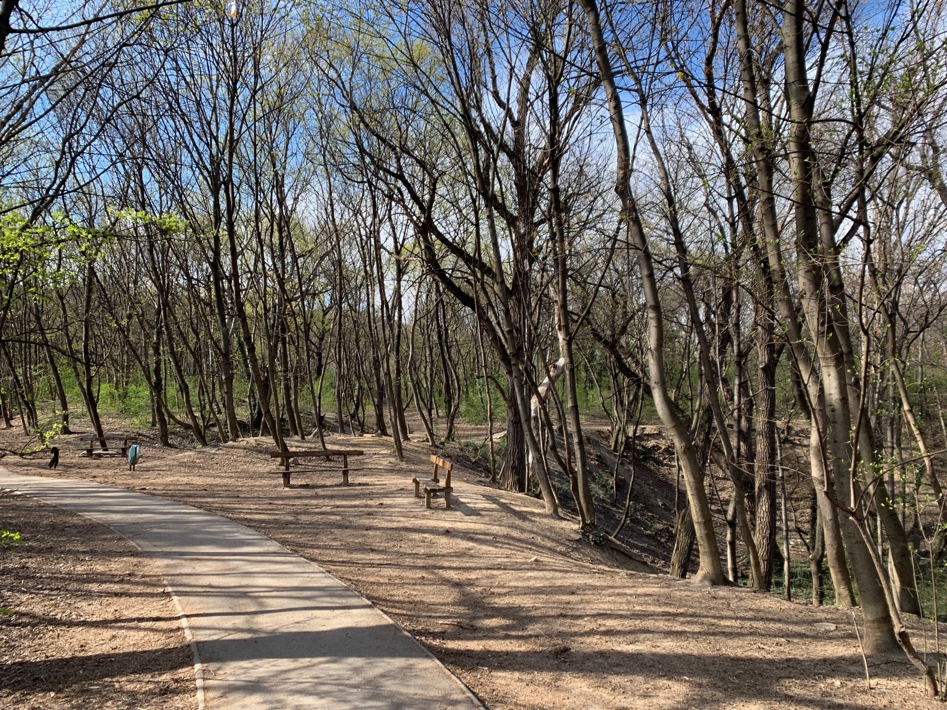 park