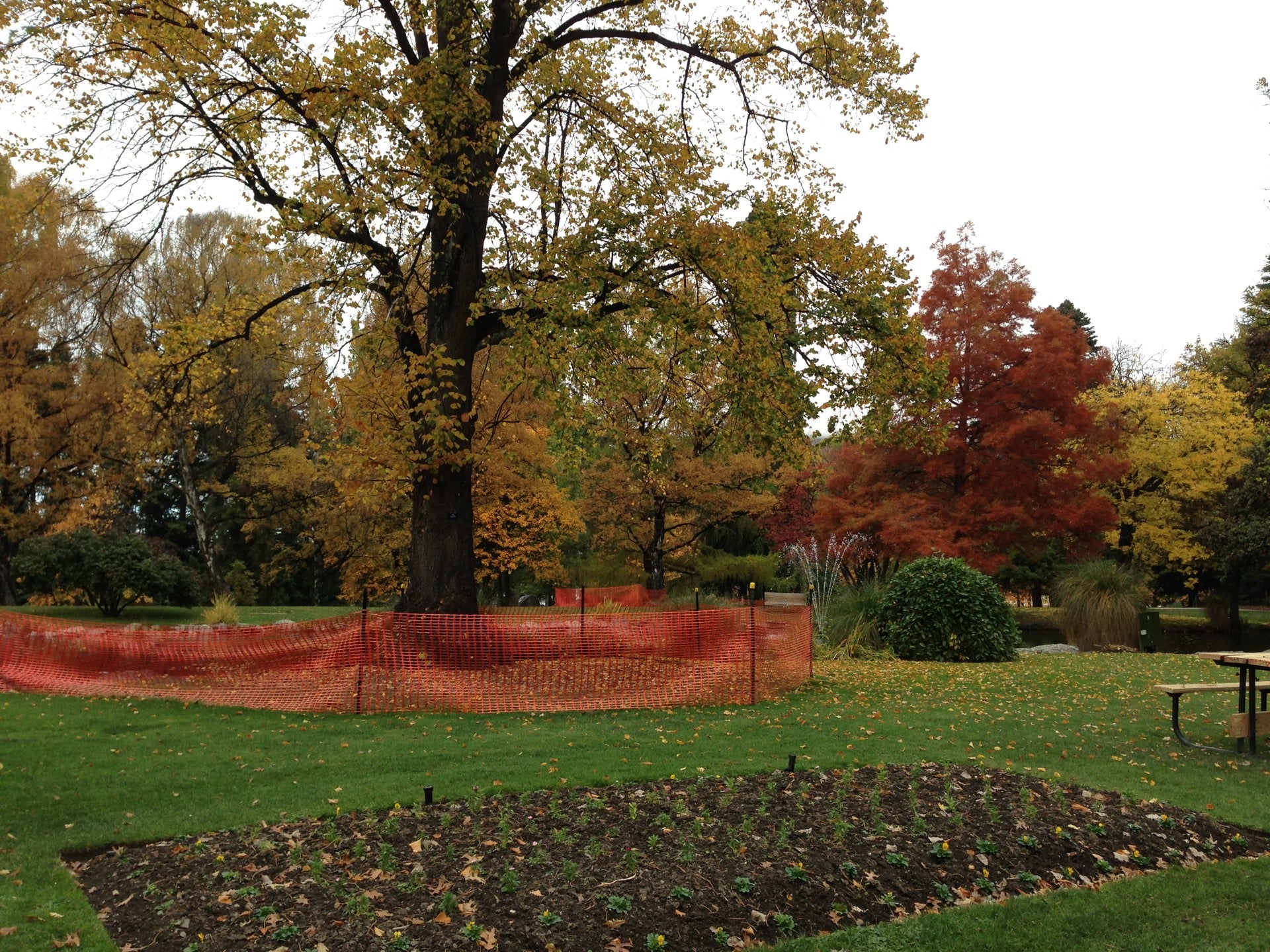 garden