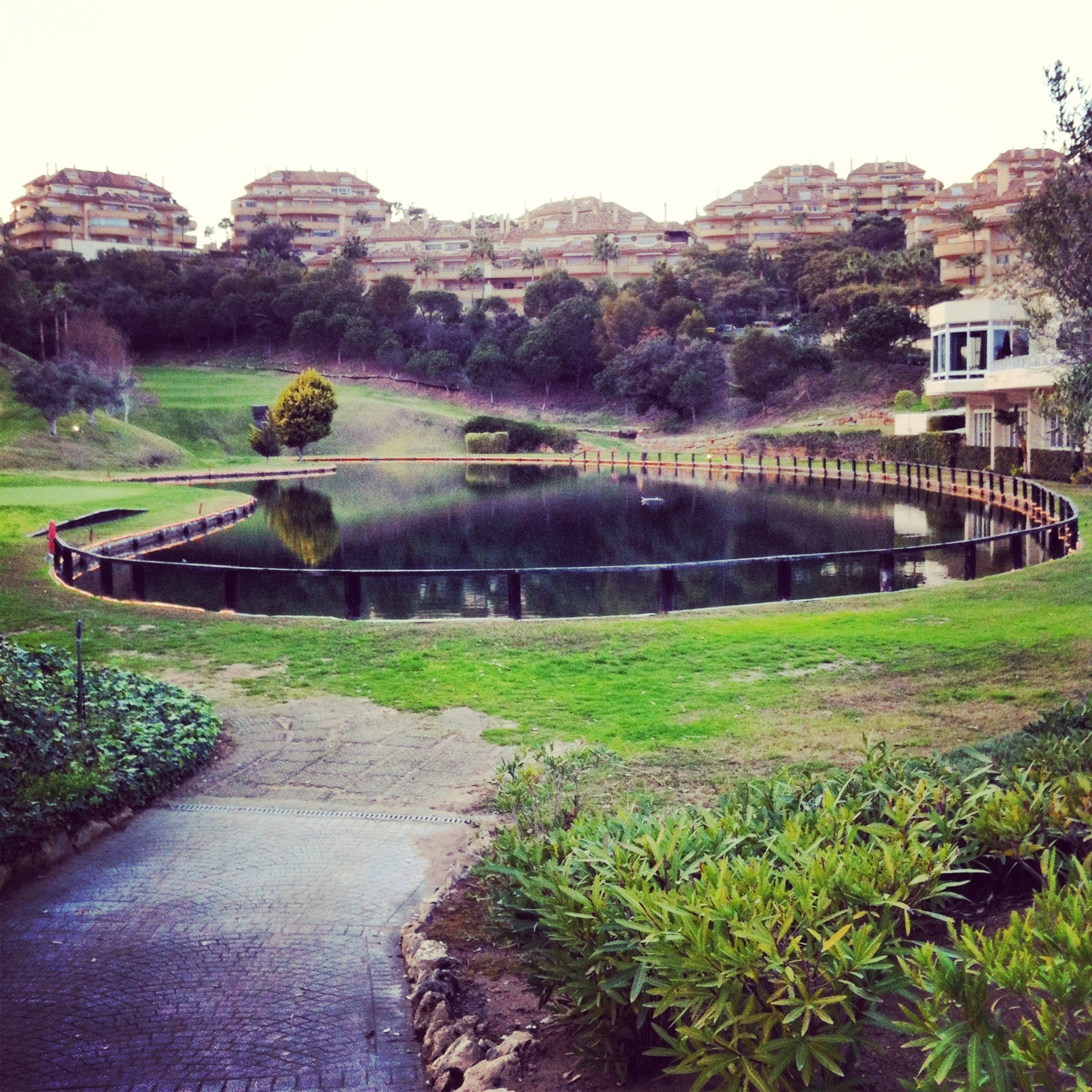 golf-course
