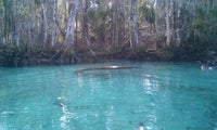 Three Sisters Springs