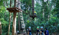 Tree Top Challenge | Club Med Cherating Beach