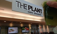 The Plant Cafe Organic