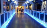 Leisure Mall Connection Bridge