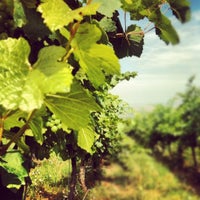 Photo taken at Hilltop Winery by Orsolya on 7/14/2012