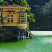 鎌北湖 Lake In 毛呂山町 鎌北湖 Lake In 毛呂山町