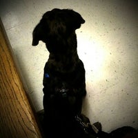 banfield waterford lakes