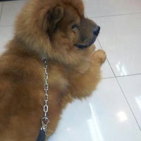 Photo taken at Bad Dog Pet Shop by Angelo P. on 4/2/2012