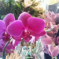 4/28/2012にMichael J.がMoravian Floristで撮った写真