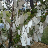 3/31/2012にChezlickがWish Treeで撮った写真
