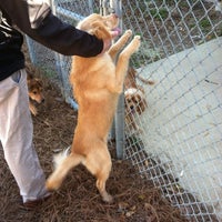 Montgomery Humane Society - Animal Shelter