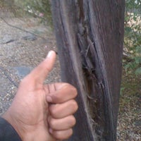 Photo taken at Nick&amp;#39;s Barn And Griill by Kelsey C. on 7/20/2012