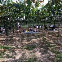 Photos At フルーツ ガーデン鈴木 大府市 愛知県