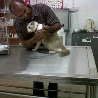 Klinik Veterinar Puncak Jalil 2 Tips From 61 Visitors