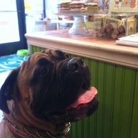 Photo taken at Doggy Style Pet Shop by Jay K. on 5/8/2012