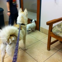 Photo taken at Dr. Domotor&amp;#39;s Animal House Veterinary Hospital by Andrew G. on 5/12/2012