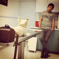 Photo taken at Washington dog &amp;amp; Cat hospital by Belle N. on 6/23/2012