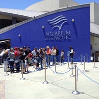 Foto scattata a Aquarium of the Pacific da Shannon P. il 5/26/2012