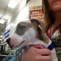 banfield waterford lakes