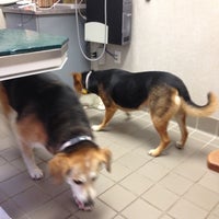 Photo taken at West Houston Veterinary Medical Associates by Theresa F. on 5/30/2012