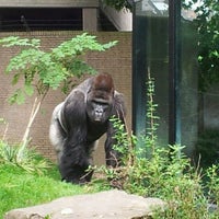 Photo taken at Chimpansees by Marco R. on 8/31/2011
