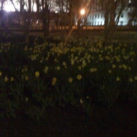 Photo taken at Triangle Park by Ashley M. on 3/16/2012