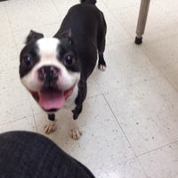 petsmart concord pike