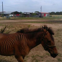 Foto tomada en Sharkarosa Wildlife Ranch  por Saran L. el 6/3/2012