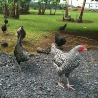 Hilo Coffee Mill - Coffee Shop in Mountain View