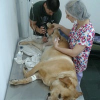 Photo taken at Clinical Vet by Ana Claudia T. on 9/22/2011
