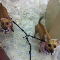 Photo taken at Sporting Dogs Store by T-llito on 11/26/2011