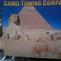 Photo taken at HLSR Camel Rides by Steven S. on 3/16/2012