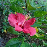 Photo taken at City of Venice, FL by ♥The Real McCoy♥ on 10/13/2011