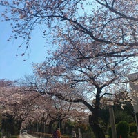 Photo taken at 青山霊園 乃木将軍通り by Hiroyuki T. on 4/5/2012