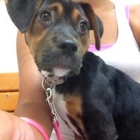 Photo taken at Banfield Pet Hospital by Monica G. on 6/4/2012
