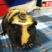 Photo taken at Chow Hound Pet Supplies by Leah V. on 4/3/2012