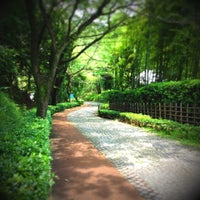 Photo taken at 専修大学 生田緑地側山道 by みぎはら け. on 8/8/2012