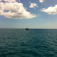 Снимок сделан в Ko&amp;#39;olina Ocean Adventures | Swim With Dolphins Adventure! пользователем Yesi C. 8/16/2012