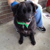 petsmart nicholson lane