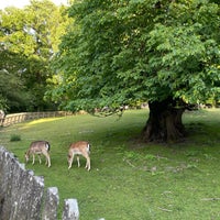 Photo taken at Haarlemmerhout by Gökçe K. on 5/27/2022