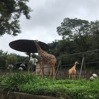 Photo taken at Fundação Parque Zoológico de São Paulo by Filipe M. on 11/17/2020