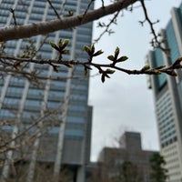 Photo taken at 芝浦中央公園 by Kou K. on 3/27/2024