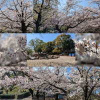 Photo taken at 平塚市総合公園 by スーパーサウスポー あ. on 4/1/2023