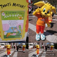 静岡市清水日本平運動公園 清水区村松30 1