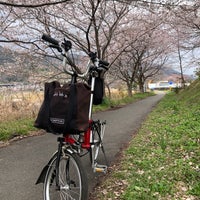 酒匂川青少年サイクリングコース 南足柄 開成町